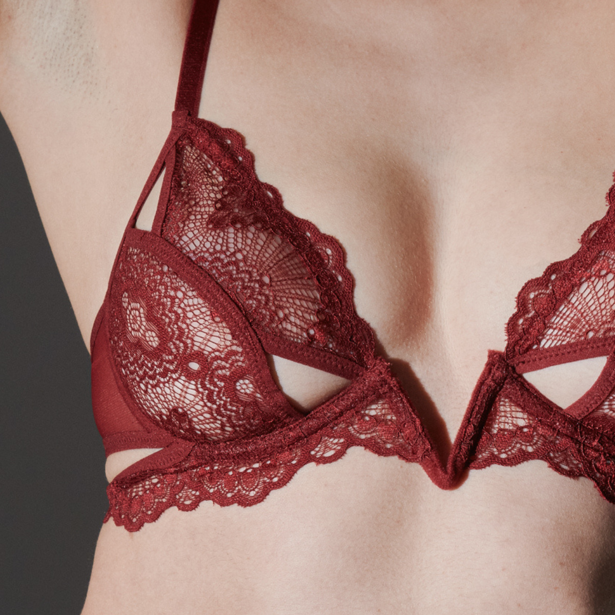 Buy THISTLE AND SPIRE Thistle & Spire Kane V-wire Lace Bra - Cherry At 30%  Off
