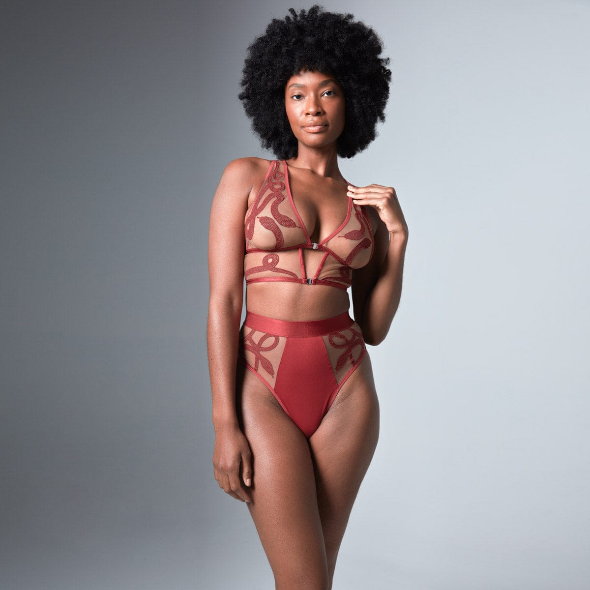 The Medusa Collection  Thistle and Spire Lingerie